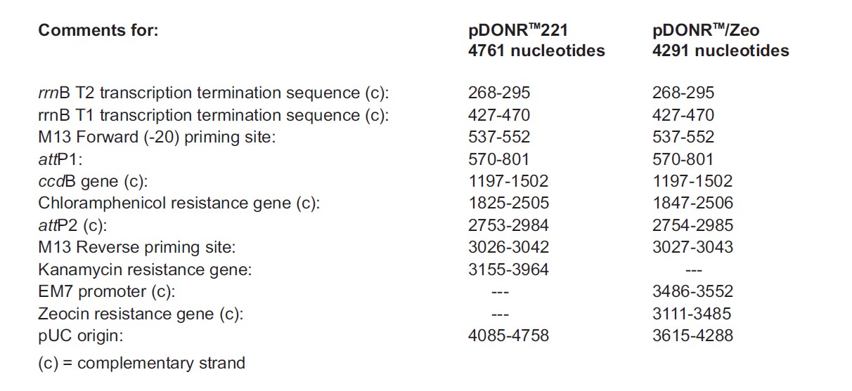 pDONR Zeo载体特征